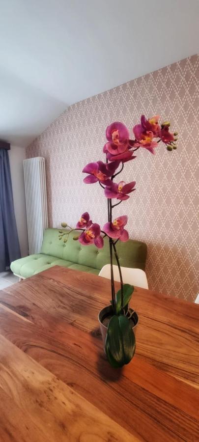 Casa Barcelli Sport & Family Apartments Torbole Sul Garda Eksteriør billede